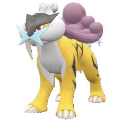 raikou hidden ability|raikou serebii.